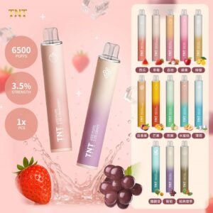 【拋棄式】TNTVAPE一次性6500口 便攜式小煙